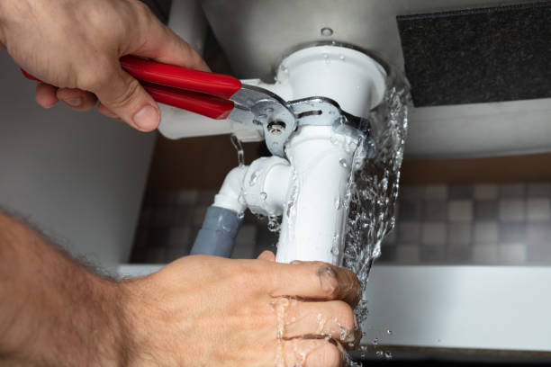 Best Flood damage cleanup  in Bear Creek, AL
