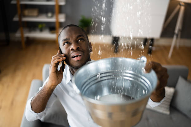 Best Emergency water damage restoration  in Bear Creek, AL
