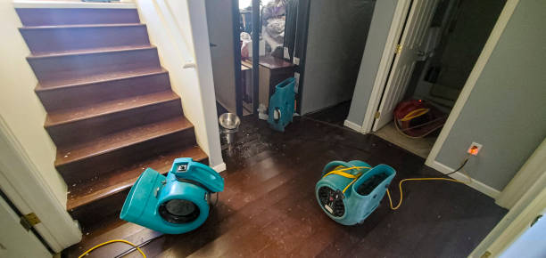 Best Water damage restoration near me  in Bear Creek, AL