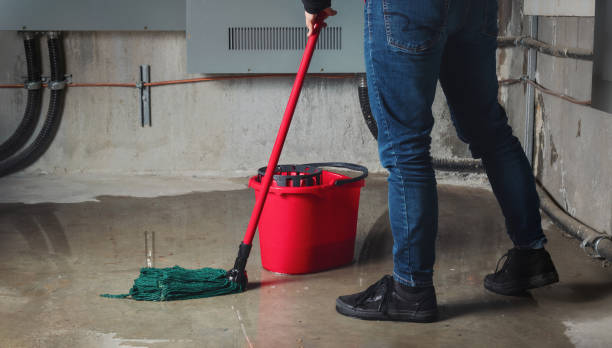  Bear Creek, AL Water damage restoration Pros