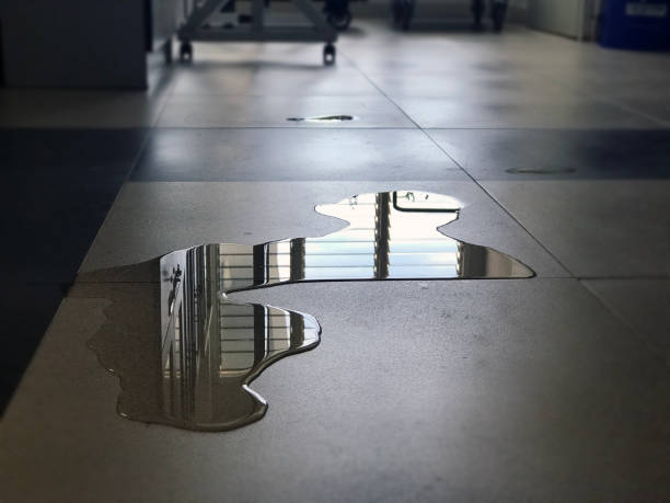 Professional Water damage restoration in AL
