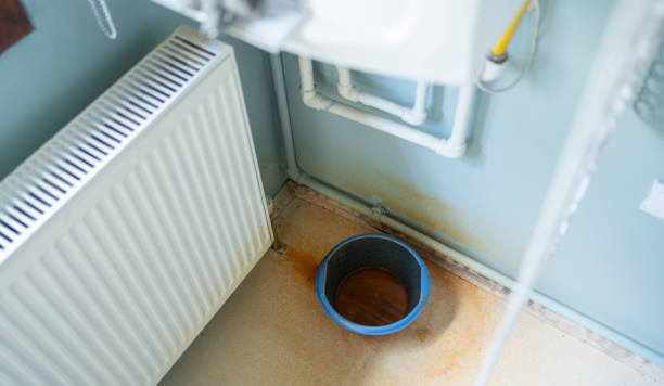 Best Sewage cleanup and water damage restoration  in Bear Creek, AL