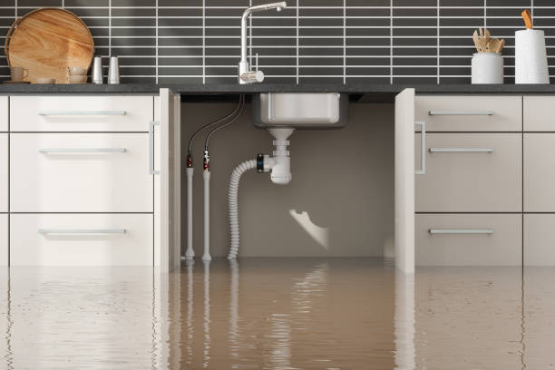 Best Water damage restoration near me  in Bear Creek, AL