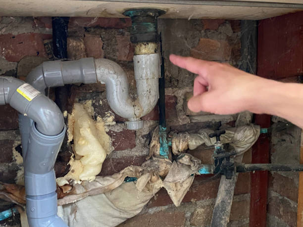Best Water damage mitigation services  in Bear Creek, AL