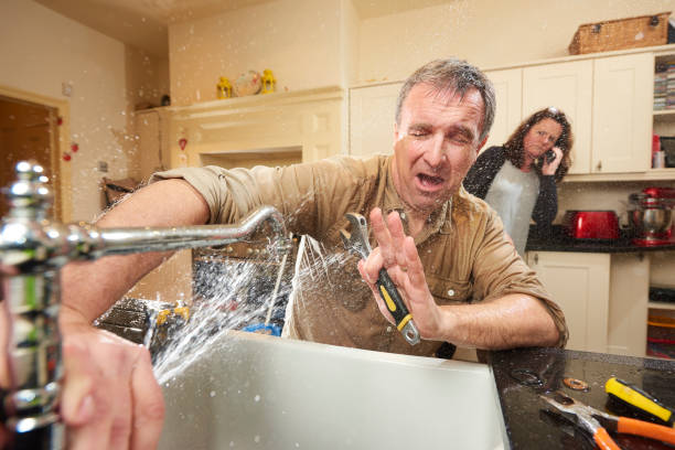 Best Water damage restoration services  in Bear Creek, AL